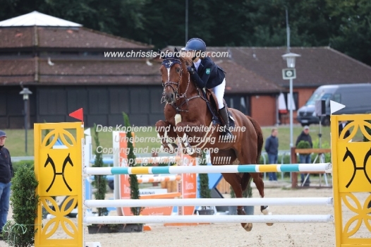 Preview charlotta grau mit chasseur ask z IMG_1401.jpg